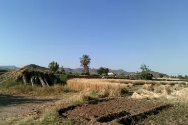 Morocco and UK researchers develop new tool for semi-arid land management in Morocco