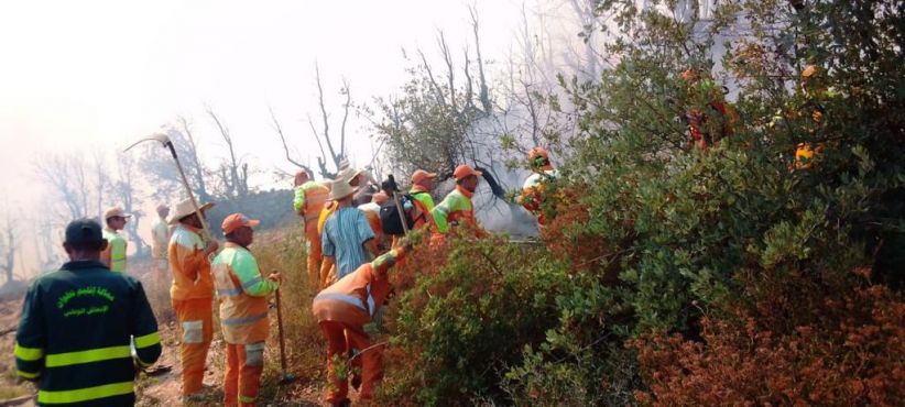 الحريق الغابوي بإقليم تطوان: نقل ساكنة 3 دواوير و نفوق 90 رأسا من الماشية