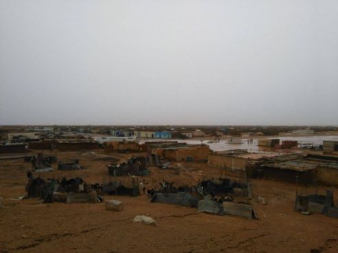 صور لمخيمات تندوف بعد التساقطات المطرية الأخيرة/ موقع لمستقبل الصحراوي