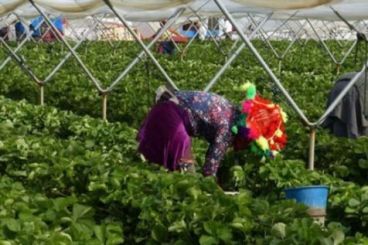 Huelva Gate : One of the complaints filed by Moroccan workers was dismissed 