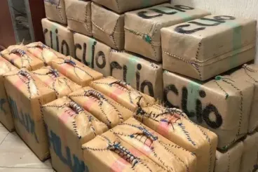 إحباط تهريب 3 أطنان من الشيرا في الصويرة وتوقيف 3 مشتبه فيهم