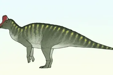 Morocco adds a new duckbill dinosaur to its roster with the discovery of Taleta taleta