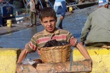 Rapport HCP : 123 000 enfants âgés de 7 à 15 ans travaillent au Maroc