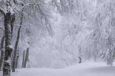 Marruecos: Nieve y fuertes lluvias tormentosas hasta el jueves