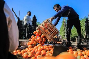 المغرب يحتل صدارة مصدري الفواكه والخضر إلى إسبانيا