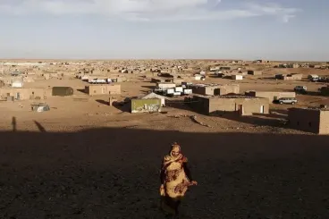 إحصاء 1974 في الصحراء الغربية: ورقة البوليساريو والجزائر التي طواها الزمن