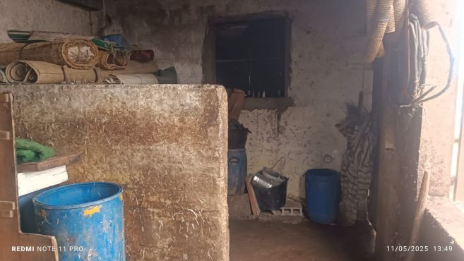 Outrage erupts over filthy conditions at a slaughterhouse near Essaouira