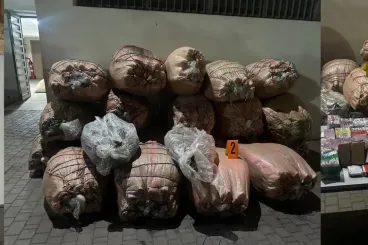 Saisie de plus d'une tonne et demie de drogues à Settat, Khouribga et Ben Ahmed