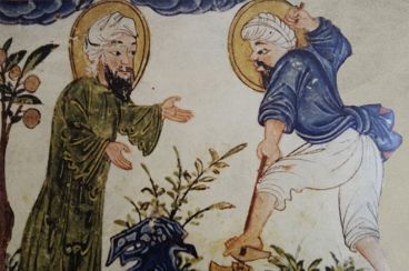 Historia: Cómo el saber hacer árabe dio forma a la agricultura de Al-Ándalus