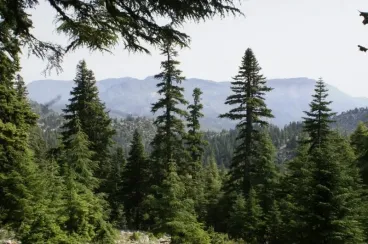 Morocco's ANEF educates Rabat students on forest fire risks