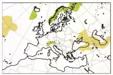 Espagne: Sumar denuncia la inclusión del Sáhara Occidental en el mapa de Marruecos