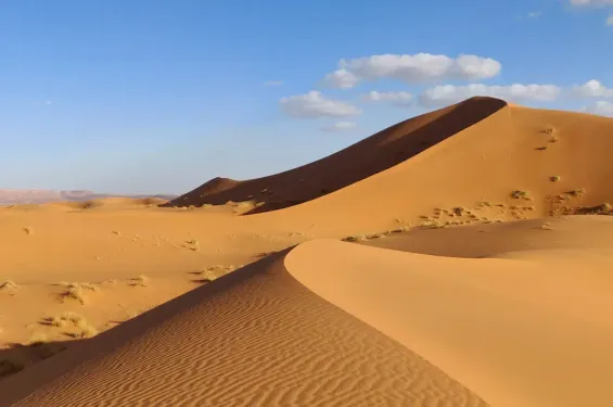 فرنسا: محاكمة زوجين بتهمة التخطيط لـ
