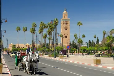 المغرب يجذب المسافرين الهنود برحلة تعريفية حصرية