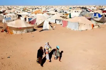 قبل المسيرة الخضراء..  الجزائر  أقامت "مخيمات للاجئين الصحراويين" في تندوف [تقرير أممي]