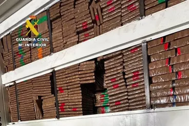 Un camión cargado con 4,7 toneladas de hachís incautado en el puerto de Algeciras, procedente de Marruecos