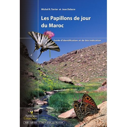 Les Papillons de Jour du Maroc